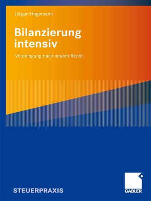cover image of Bilanzierung intensiv